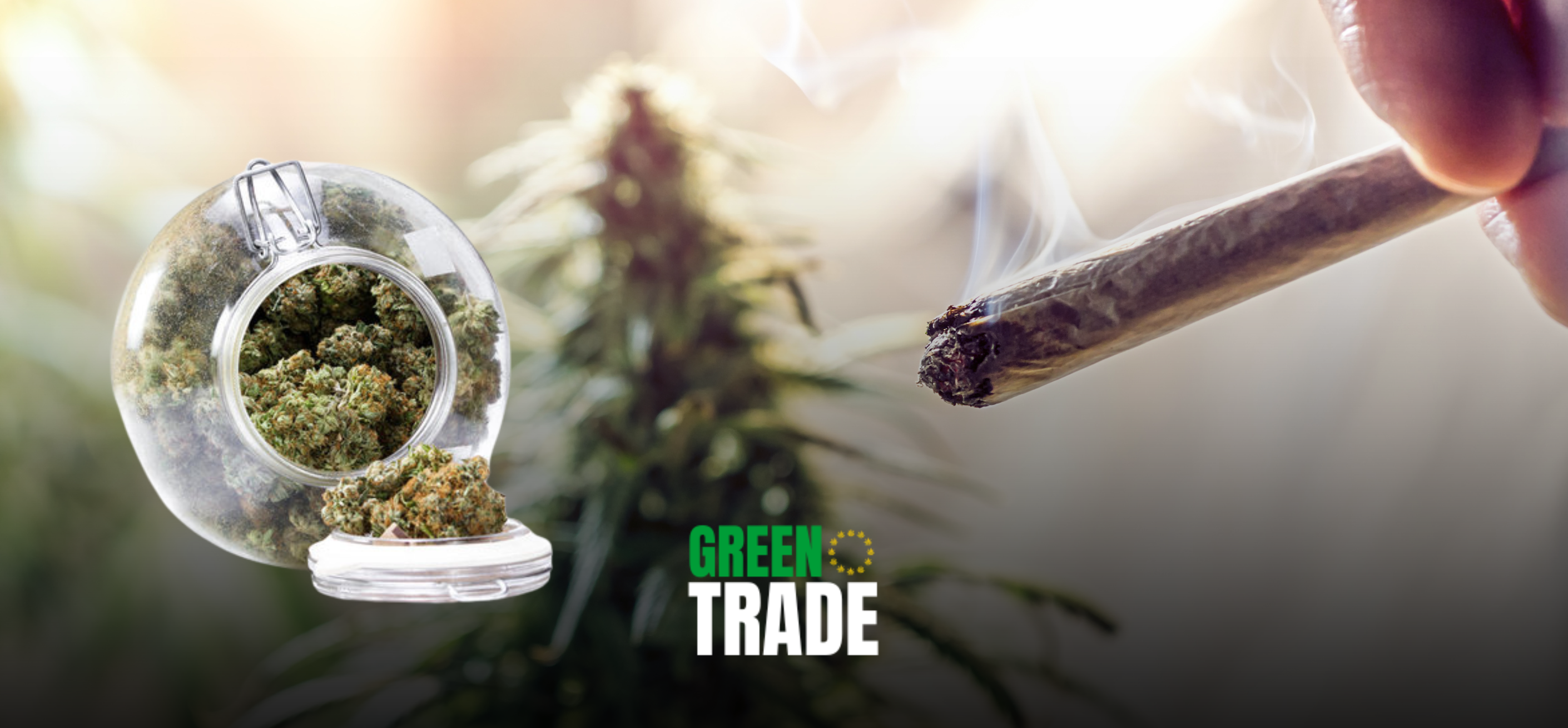 10-OH Hemp Flowers in Bulk: The Premium Cannabinoid Alternative Your Store Needs