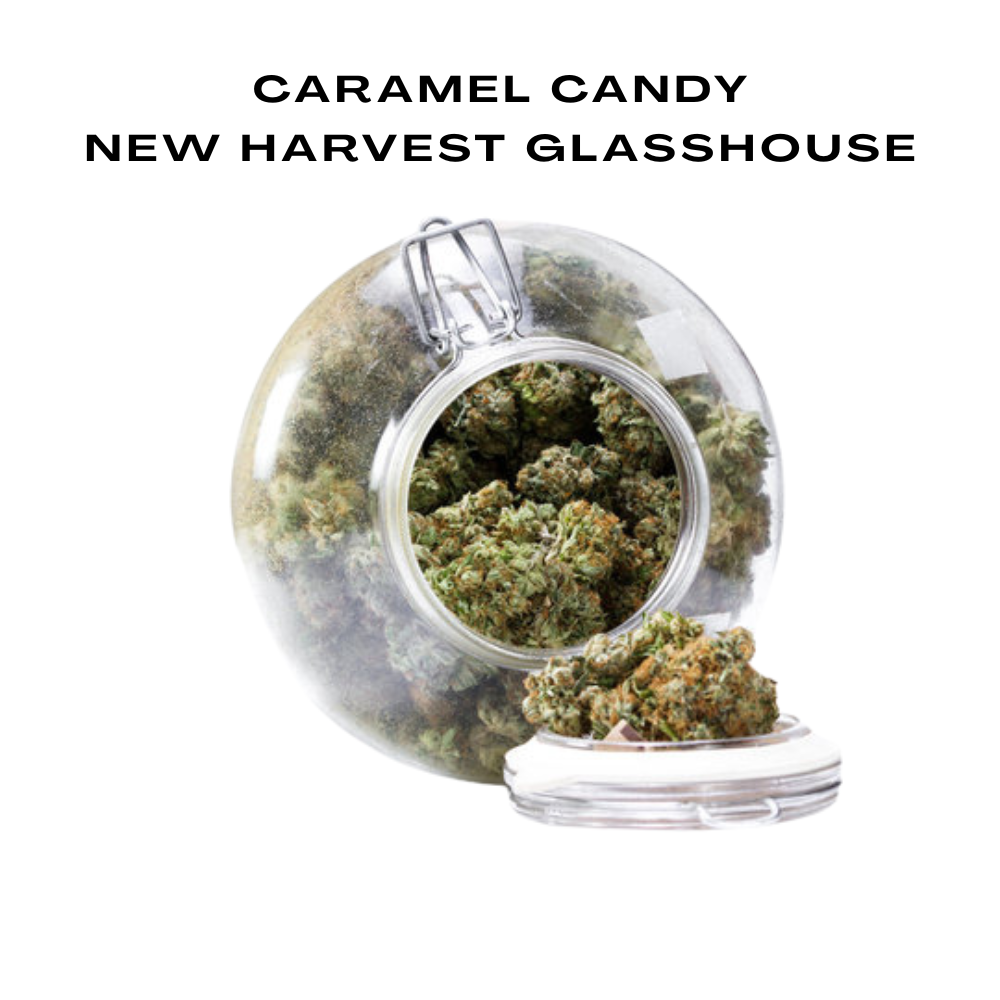 Bulk 10-OH Flowers, New Harvest Glasshouse, 100g