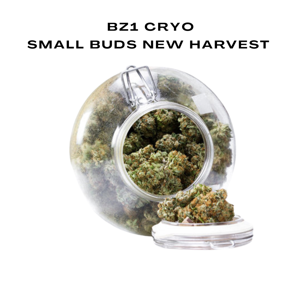 Bulk 10-OH Flower, Small Buds New Harvest, 100g