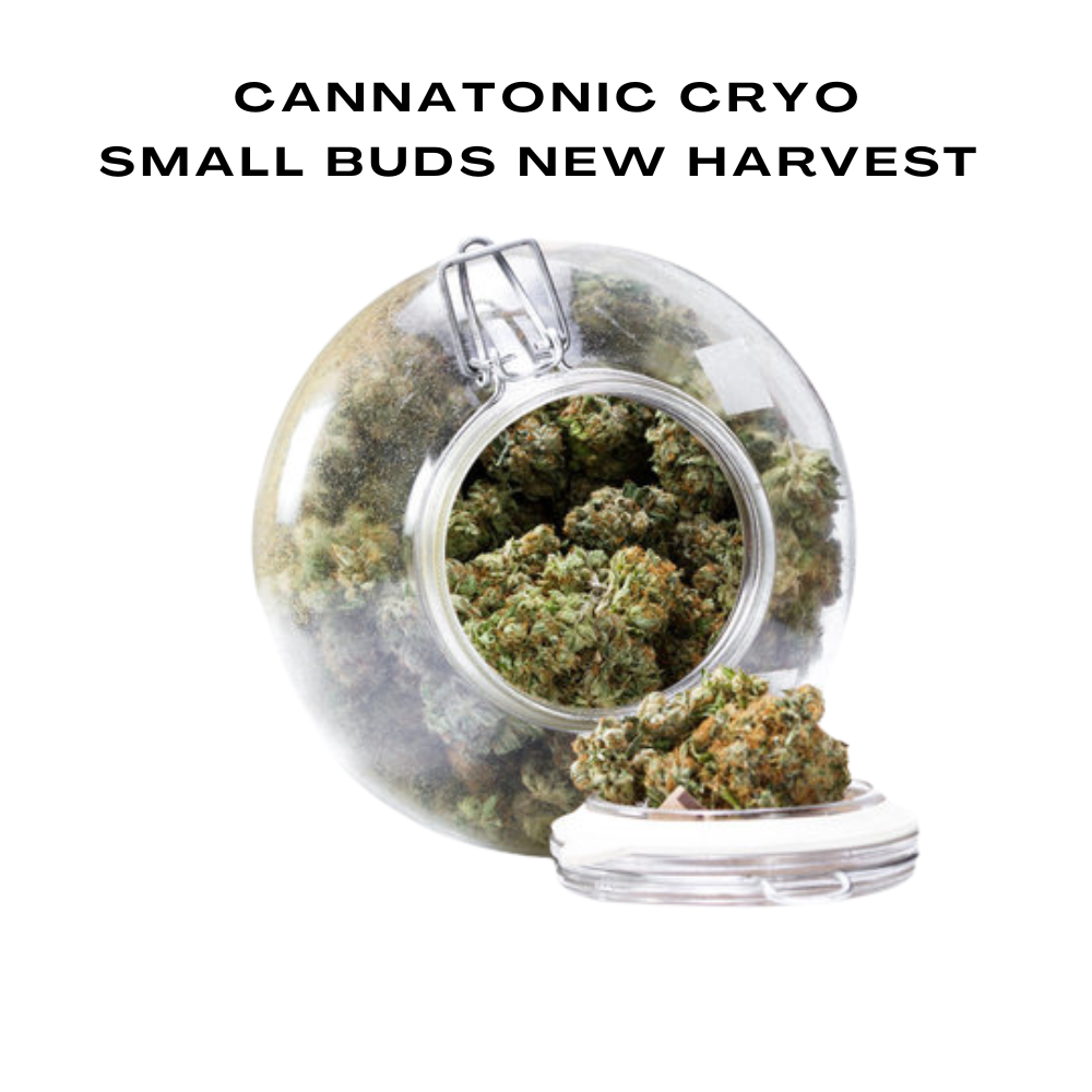 Bulk 10-OH Flower, Small Buds New Harvest, 100g