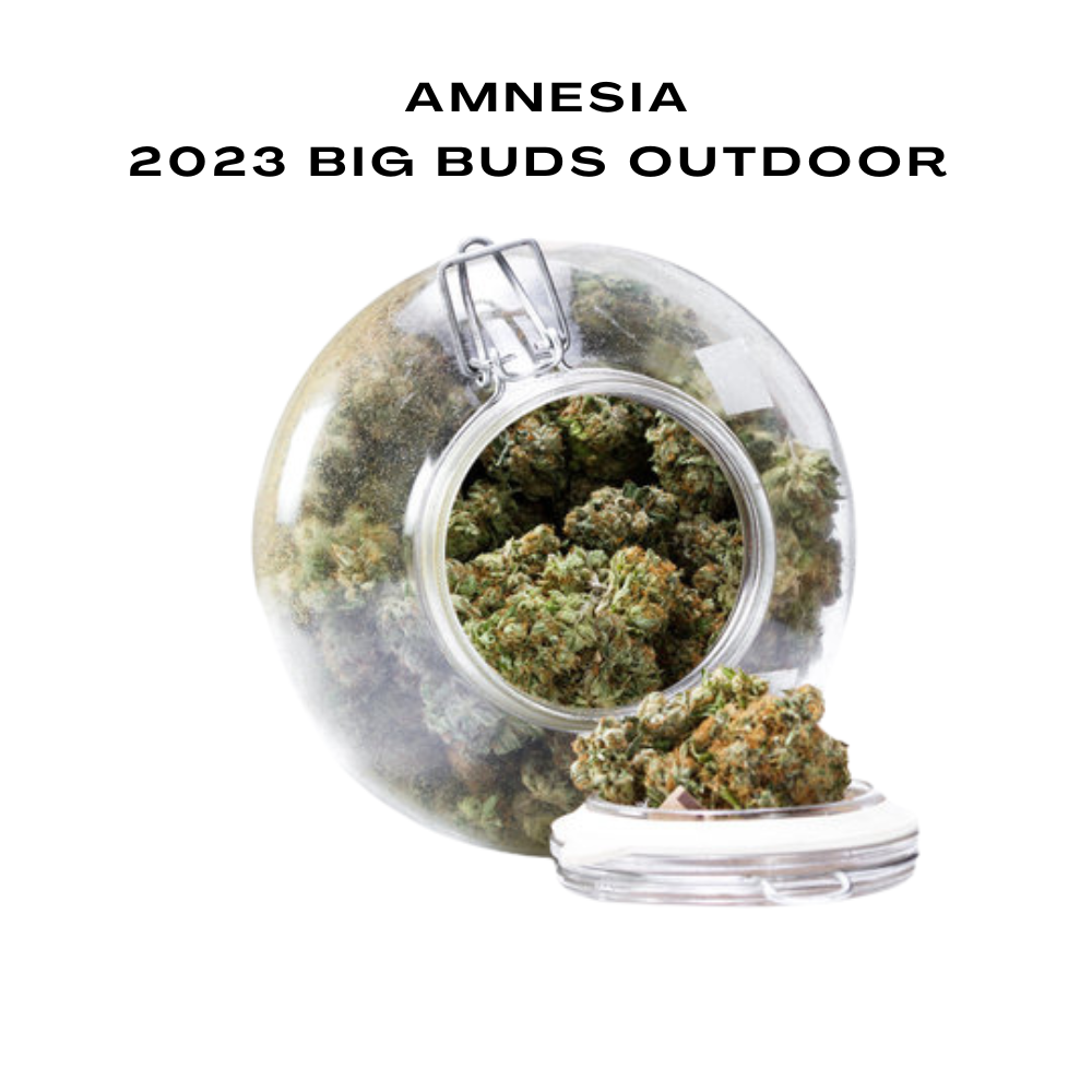 Bulk CBD Flowers, 2023 Big Buds Outdoor, 100g