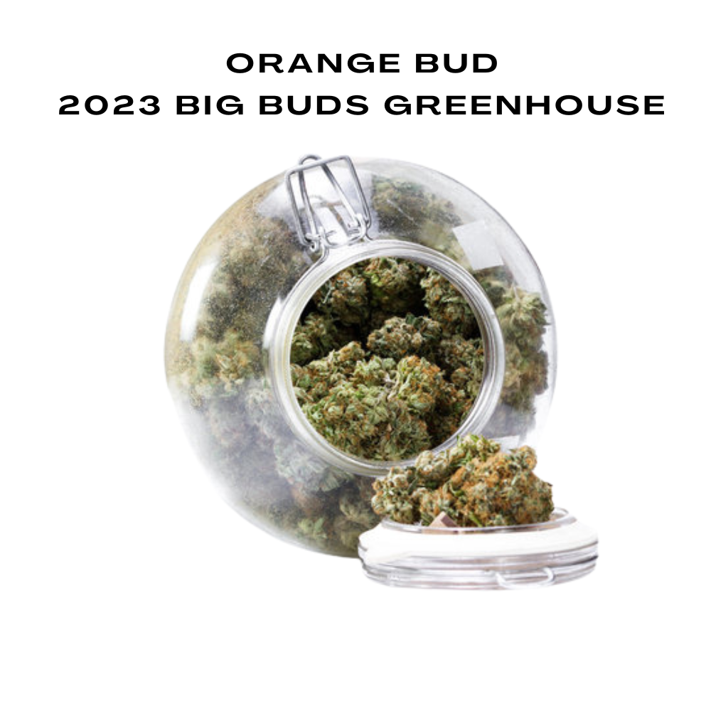 Bulk CBD Flowers, 2023 Big Buds Greenhouse, 100g