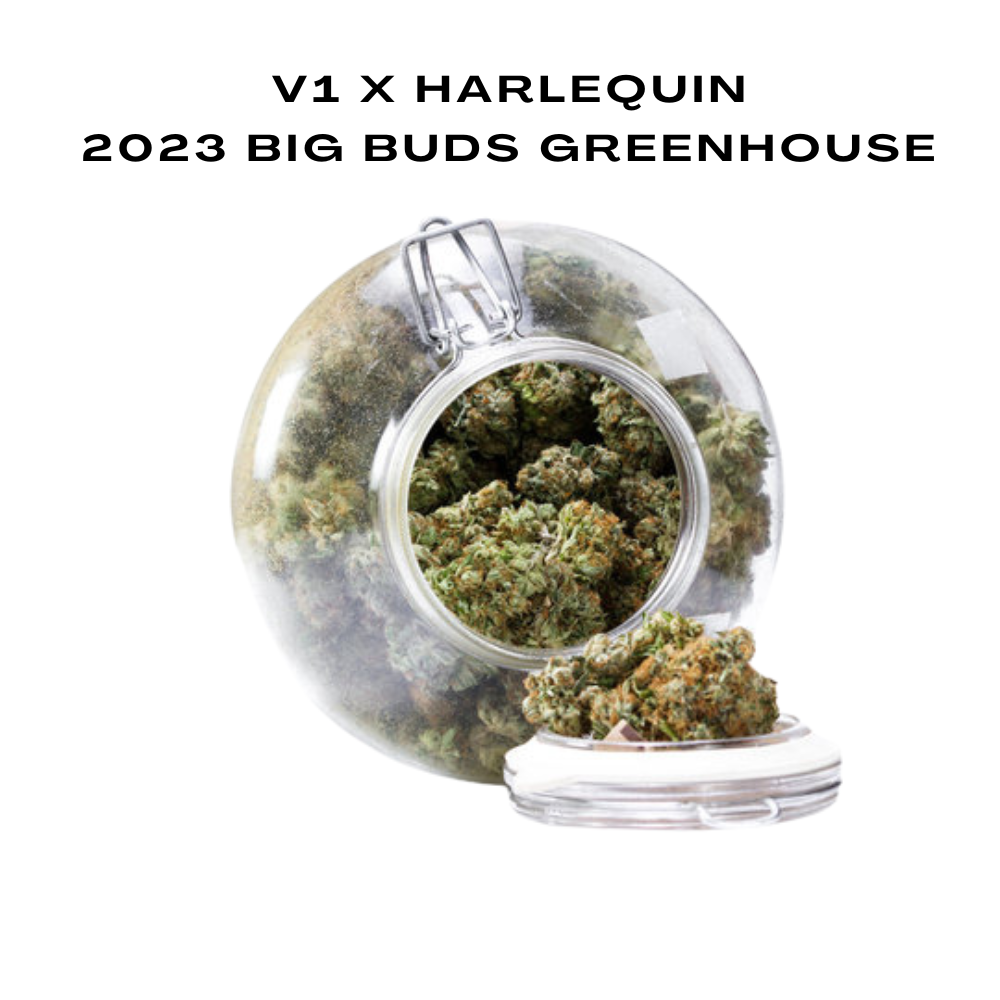 Bulk CBD Flowers, 2023 Big Buds Greenhouse, 100g