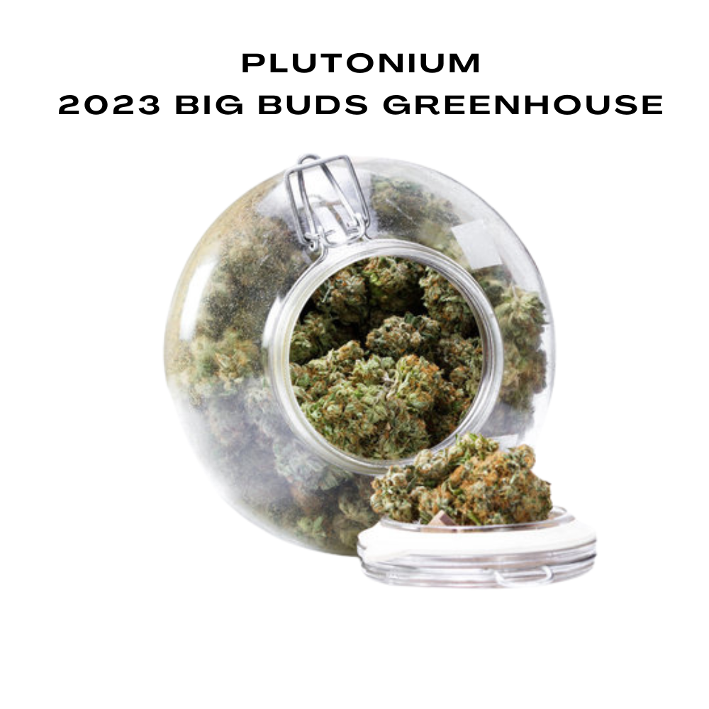 Bulk CBD Flowers, 2023 Big Buds Greenhouse, 100g