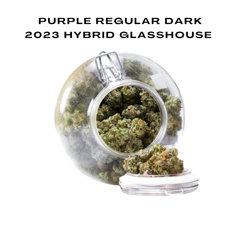 Bulk CBD Flowers, 2023 Hybrid Glasshouse, 100g