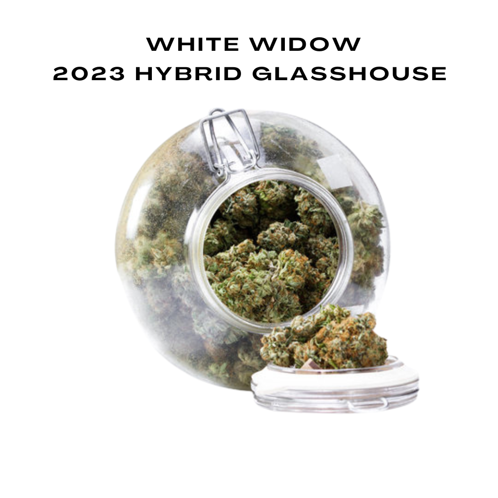 Bulk CBD Flowers, 2023 Hybrid Glasshouse, 100g