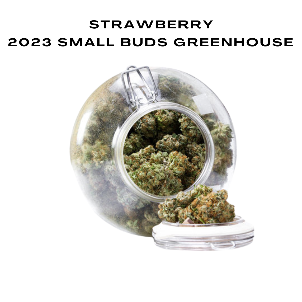 Bulk CBD Flowers, 2023 Small Buds Greenhouse, 1kg