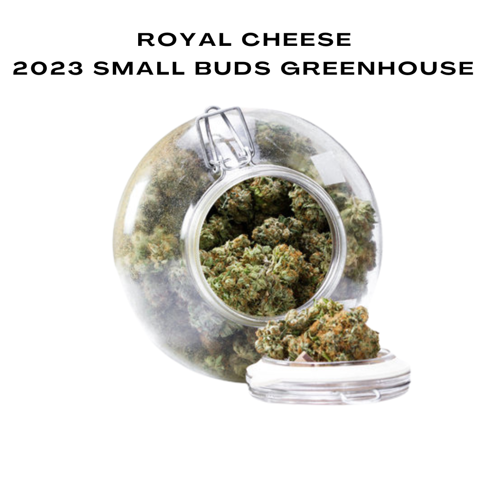 Bulk CBD Flowers, 2023 Small Buds Greenhouse, 100g